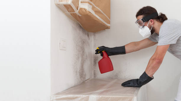 Professional Mold Inspection And Testing technician working in Medford, MA